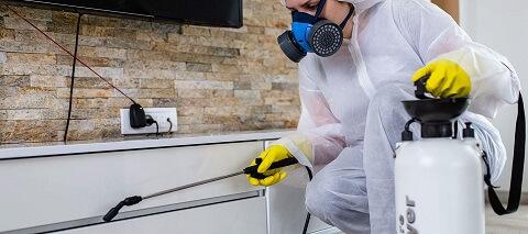Pest Control in Agriculture Enjoy 20% Off Top Services