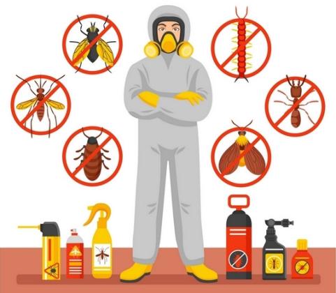 Pest Control Service in USA Get 20% Off Now