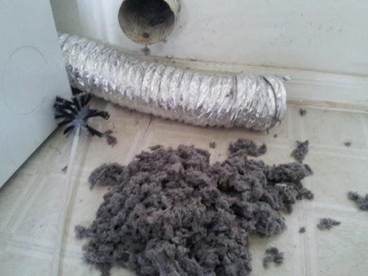 Pet stain removal near me | Farriss Carpet and Cleaning Services