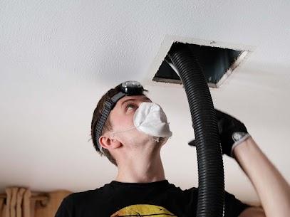 Pet stain removal near me | Farriss Carpet and Cleaning Services