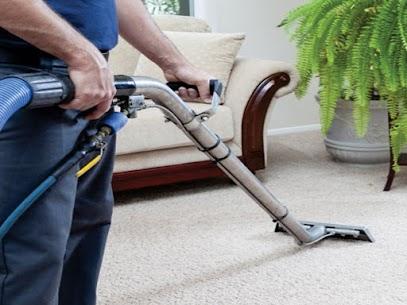 Pet stain removal near me | Farriss Carpet and Cleaning Services