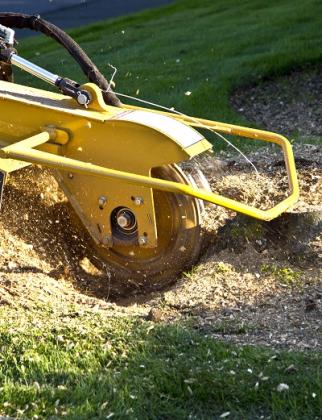 Peterson Tree Care Provo