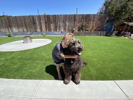 Residential Pavers Installation San Diego