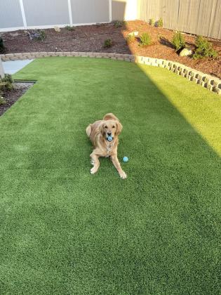 Residential Pavers Installation San Diego