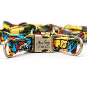 Step in Harnesses for Ultimate Comfort and Control
