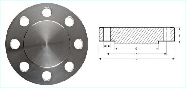 SW flanges in uae