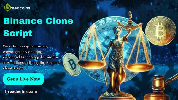 Take Your High Quality Services In Binance Clone Script