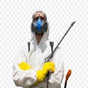 Tinting Solutions