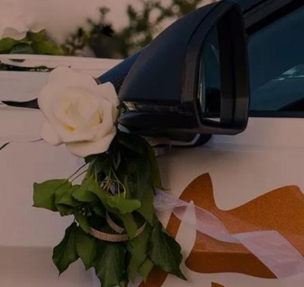 Toronto Wedding Limo