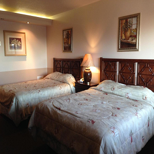 Traveller's Inn