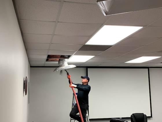 United Air Duct Cleaning And Restoration Services