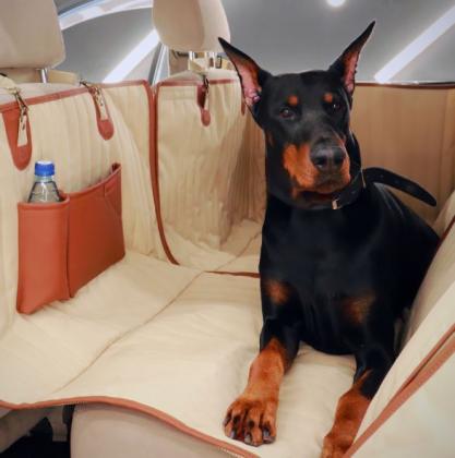 Waterproof Car Dog Hammock with Side Flaps – Protect Your Car and Pamper Your Pup!