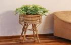 Bamboo Stands in Harayana Provider