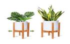 Bamboo Stands in Maharashthra