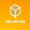 Bangalore Video Production - Tribal Box Studio