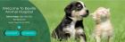 Beville Animal Hospital