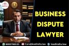 Business Dispute Lawyer