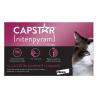 Capstar Cats on Sale - 30% Off at Discountpetcare