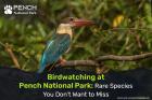 Chhatwal resort pench
