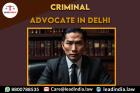 Criminal Lawyer In Delhi