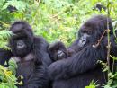 Discover South Africa’s Best Safari Destinations