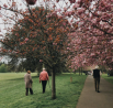 Expert Home Care Services for Seniors