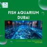 Explore the Incredible Fish Aquariums of Dubai: Unveil the Wonders of Marine Life