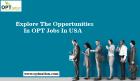 Explore The Opportunities In OPT Jobs In USA.