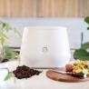 Food Composter Kitchen