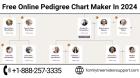 Free Online Pedigree Chart Maker In 2024
