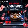 Get Ahead in Crypto Gaming: Launch with Plurance's White Label Bitstarz Clone