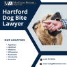 Get legal help for dog bites in Hartford today!