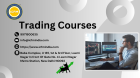 Learn Trading Discover the Best Courses