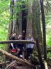 Oregon Coast tours