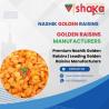 Premium Nashik Golden Raisins | Leading Golden Raisins Manufacturers