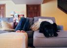 Professional Cleaning Services San Diego