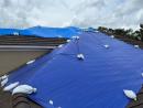 Property inspection service | Blue Tarp Express