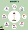 Sugarcure Juice – Over 20 Ingredients for Sugar Balance