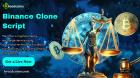 Take Your High Quality Services In Binance Clone Script
