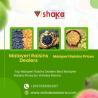 Top Malayeri Raisins Dealers  Best Malayeri Raisins Prices by Vishaka Raisins