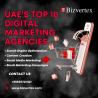 UAE’s Powerhouses: Top 10 Digital Marketing Agencies You Need to Know