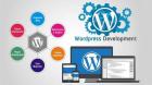 Wordpress Website Development Agency
