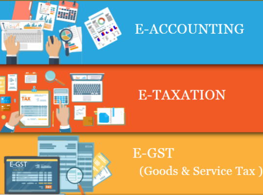 Accounting Course in Delhi, 110035, after 12th and Graduation by SLA Accounting, Taxation and ERP Tally Prime Institute in Delhi, Noida, New Year
