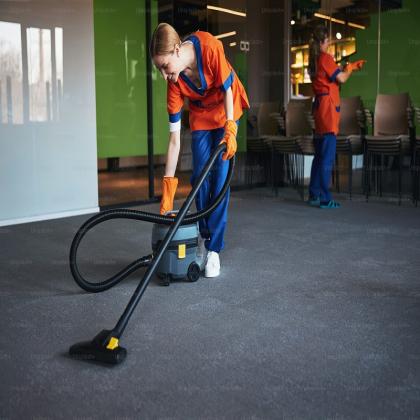 Affordable and Professional Carpet Cleaning in Brisbane