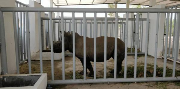 Animal Supply and Collection in Thailand
