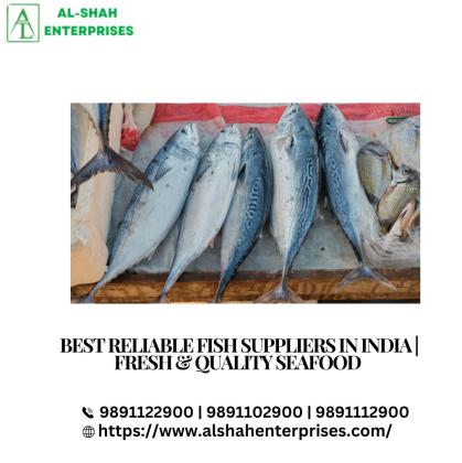 best Reliable Fish Suppliers in India | Fresh & Quality Seafood