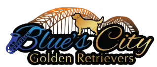 Blues City Golden Retrievers
