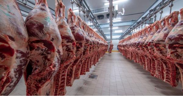 Bovine Beef wholesale, Wholesale Frozen Chocken