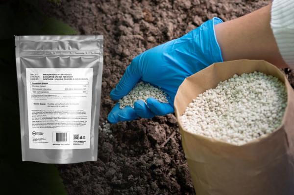 Buy Rhizophagus Irregularis at Affordable Prices – Shop Now!