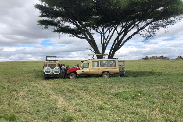 Discover Tanzania Safari Tour Packages